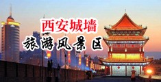 韩国极品TS人妖粉红女仆中国陕西-西安城墙旅游风景区